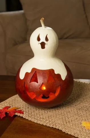 Casper Jack Gourd