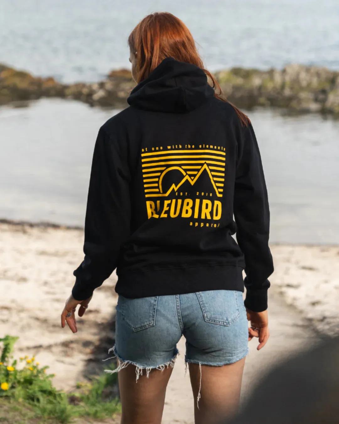 Retro Peaks Hoody - Bleubird Retro Peaks Hoodie