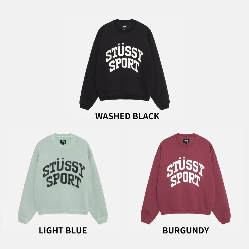 STUSSY  |Crew Neck Pullovers Unisex Street Style Long Sleeves Plain