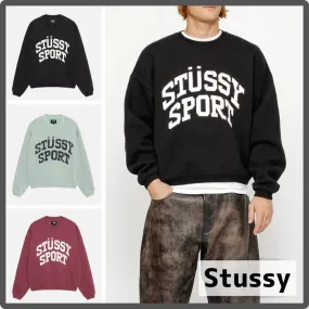 STUSSY  |Crew Neck Pullovers Unisex Street Style Long Sleeves Plain